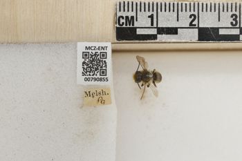 Media type: image;   Entomology 790855 Aspect: Labels